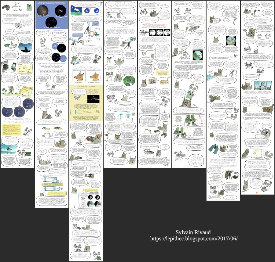 Choisir ses jumelles selon Lepitec