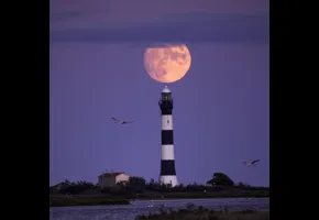 Dominique Joubert   |   2021   |   Concours GAD 2021 - non primée