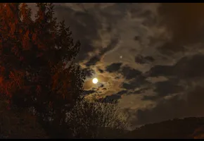 Laurent Gest   |   2021   |   Concours GAD 2021 - non primée